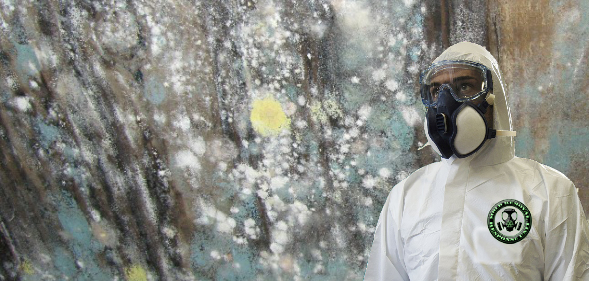 Mold Removal Crew